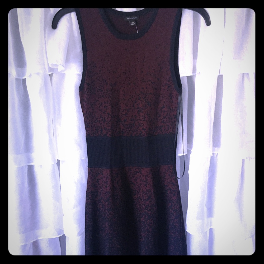 Ann Taylor Maroon and Navy Ombré Dress